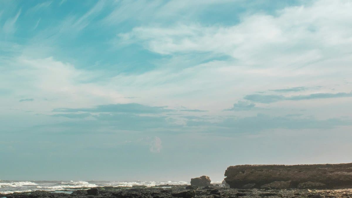 La industria naval de Mar del Plata proyecta un 2026 con menor producción y empleo